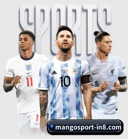 坚持做好基础的事(mangosports)